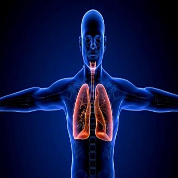 Sistema respiratorio - Vida Saludable 